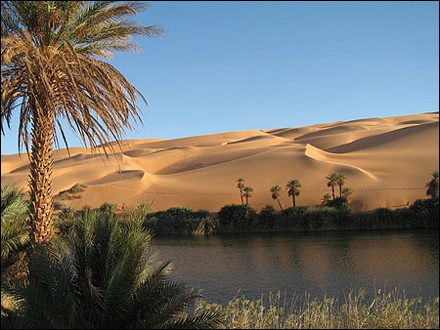 /products/aupres-dune-oasis/