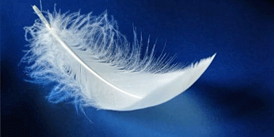 Quelques plumes de mon rêve